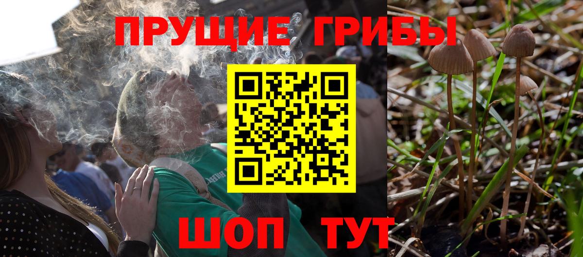 Кыштым  Псилоцибиновые грибы мицелий  Вход с VPN 